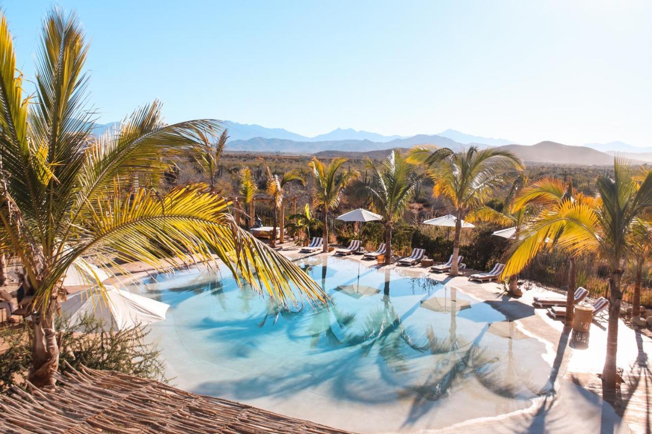 Baja Nomads Hotel - Adults 15 Plus Todos Santos Eksteriør billede